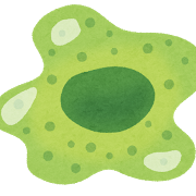 body_cell4_macrophage